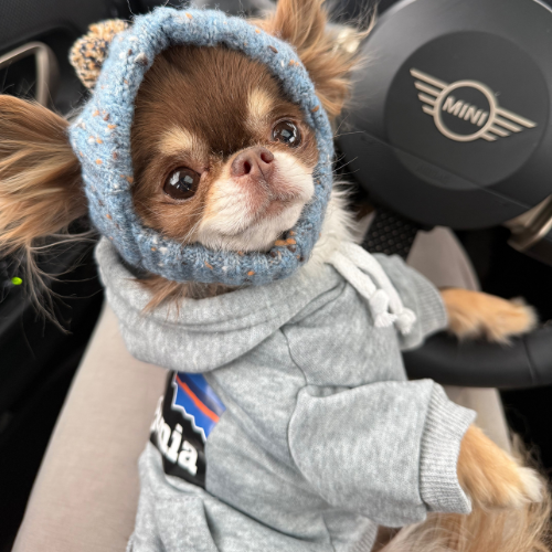 Hoodies & Vests