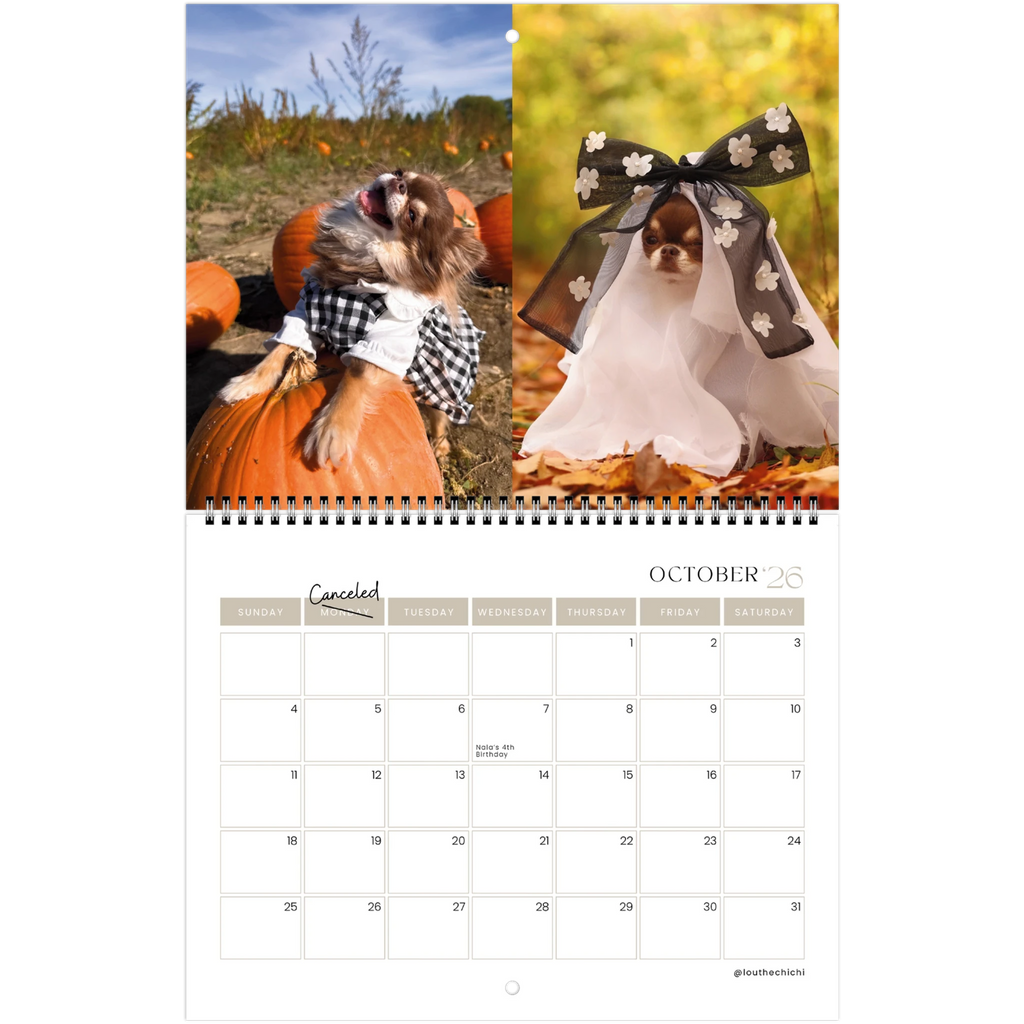 078b1bf6-4c26-4933-9a60-ee403e15dbef