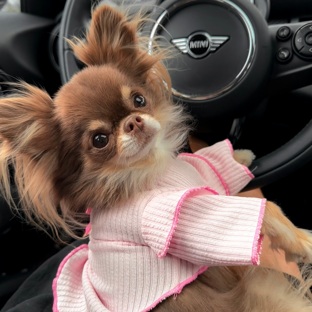 Pink Ruffles Bow Top