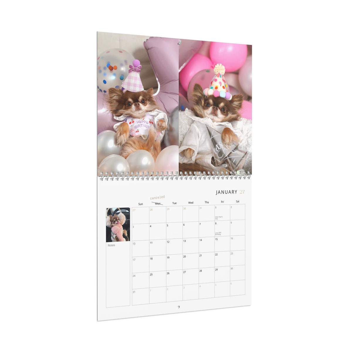 Lou the Chichi's 2027 Calendar (Pre-order)