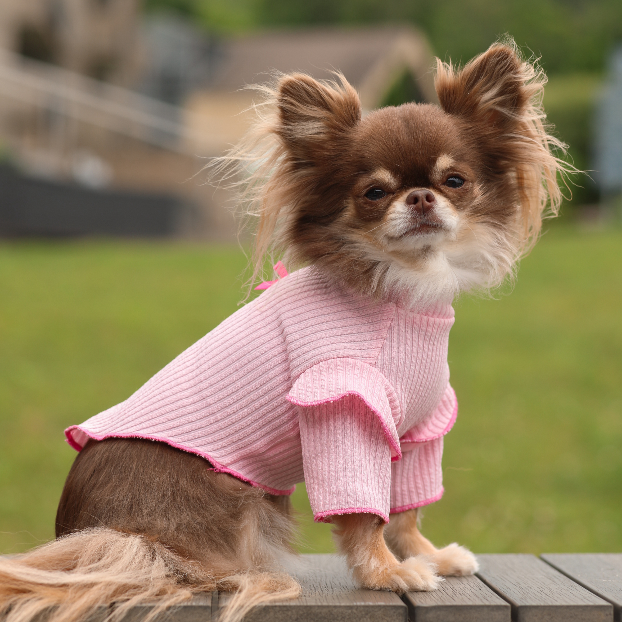 Pink Ruffles Bow Top