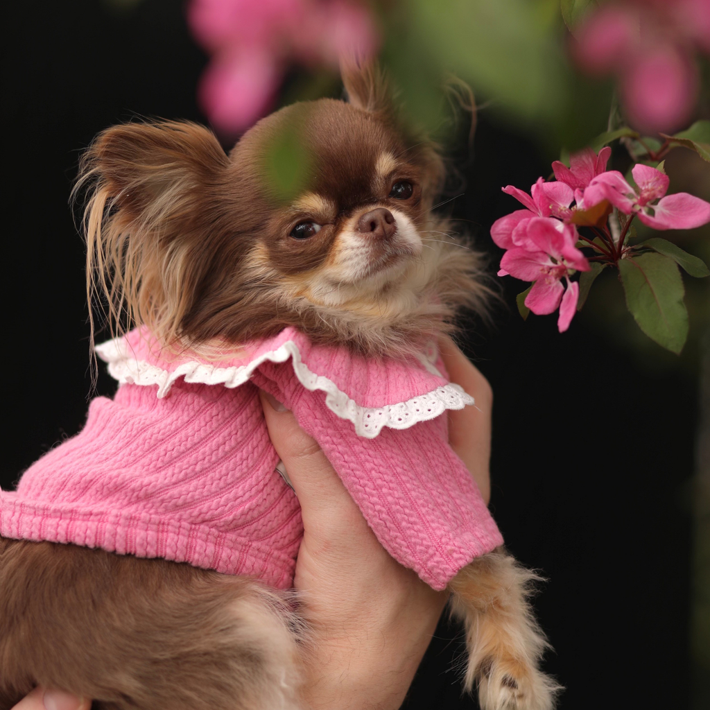 Cardigan à col Claudine - Rose