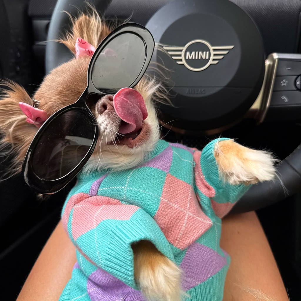 Pastel Argyle Knit Sweater