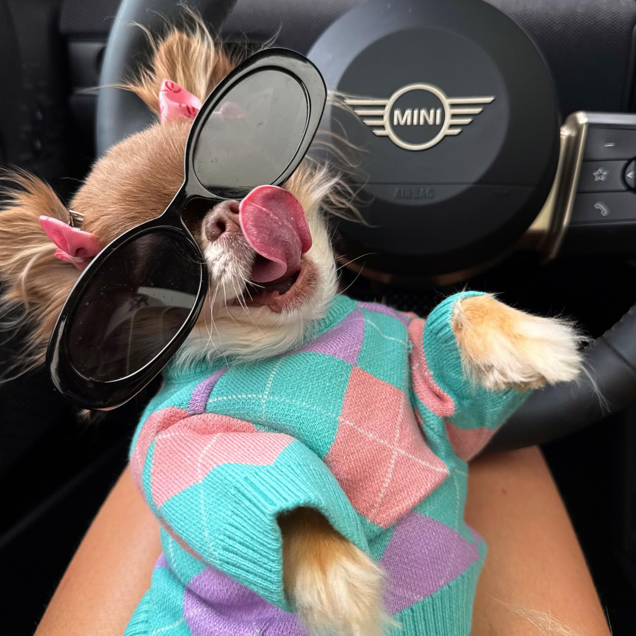 Pastel Argyle Knit Sweater