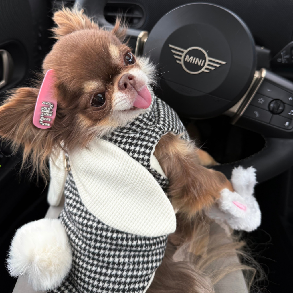 Veste lapin pied-de-poule
