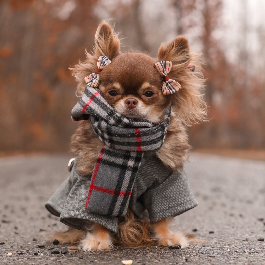 Plaid Scarf - Grey
