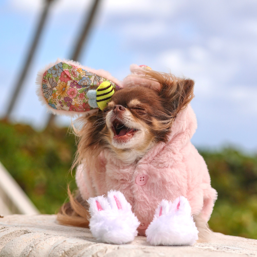Bunny Button-Up Vest - Pink