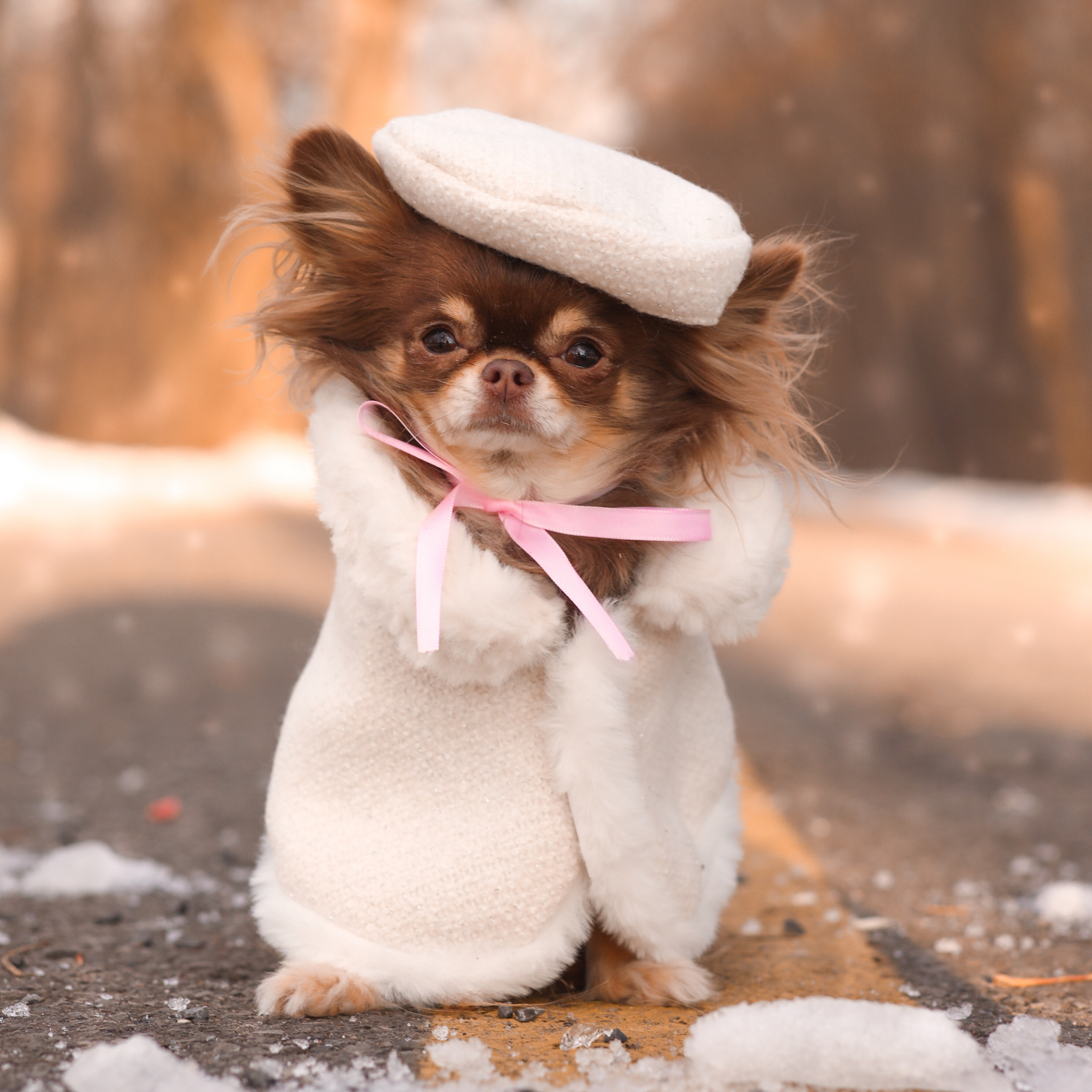 Winter Cape and Beret