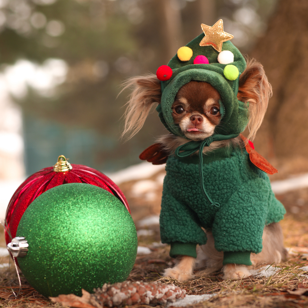 Bonnet sapin de Noël