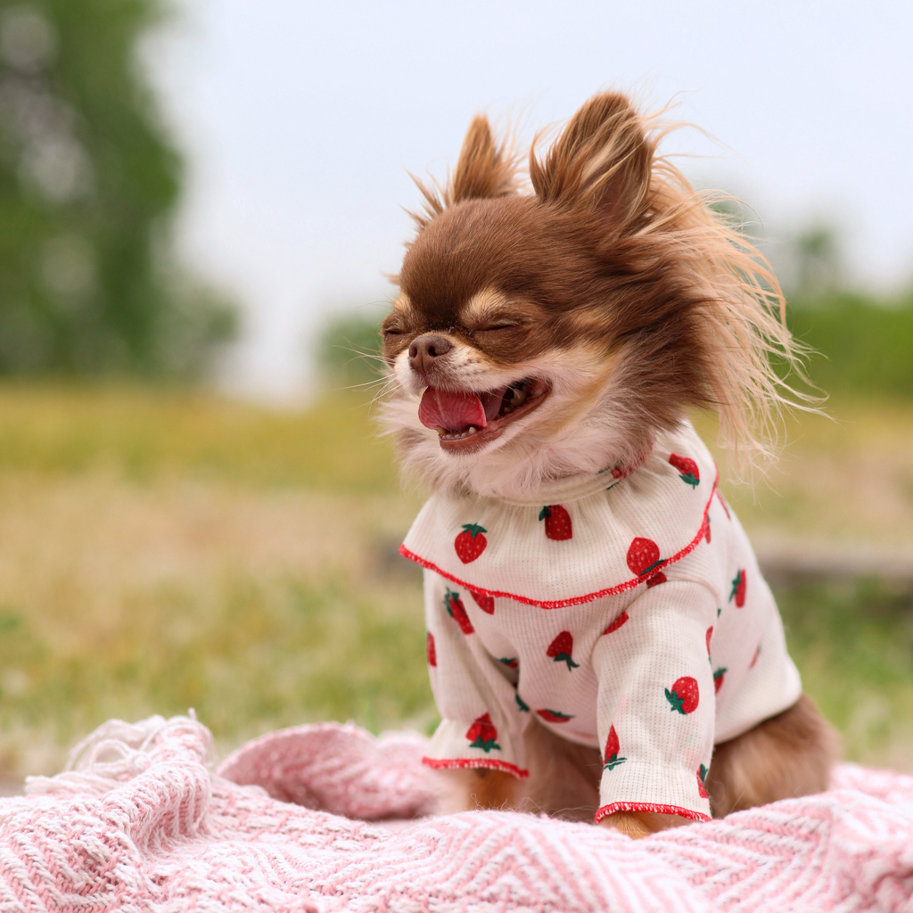 Strawberry Ruffles Shirt