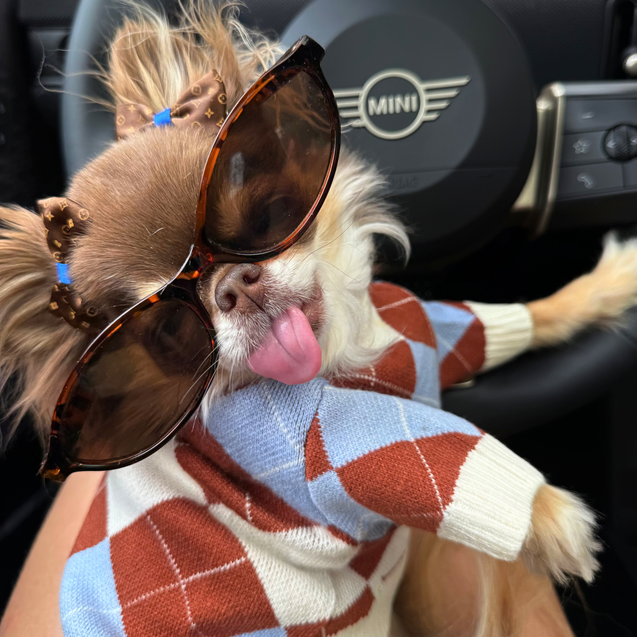 Classic Argyle Knit Sweater