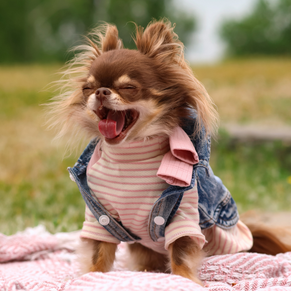Striped Tee with Scarf - Pink