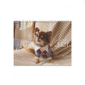 Lou the Chichi's 2027 Calendar (Pre-order)