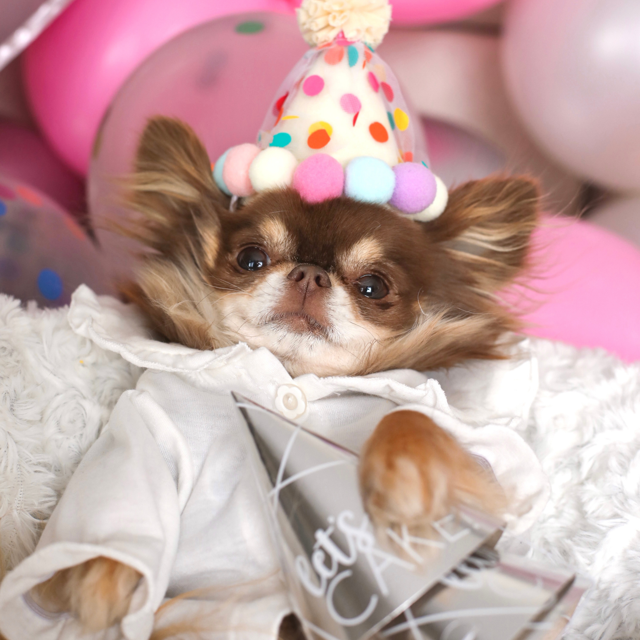 Birthday Set - Pom Poms