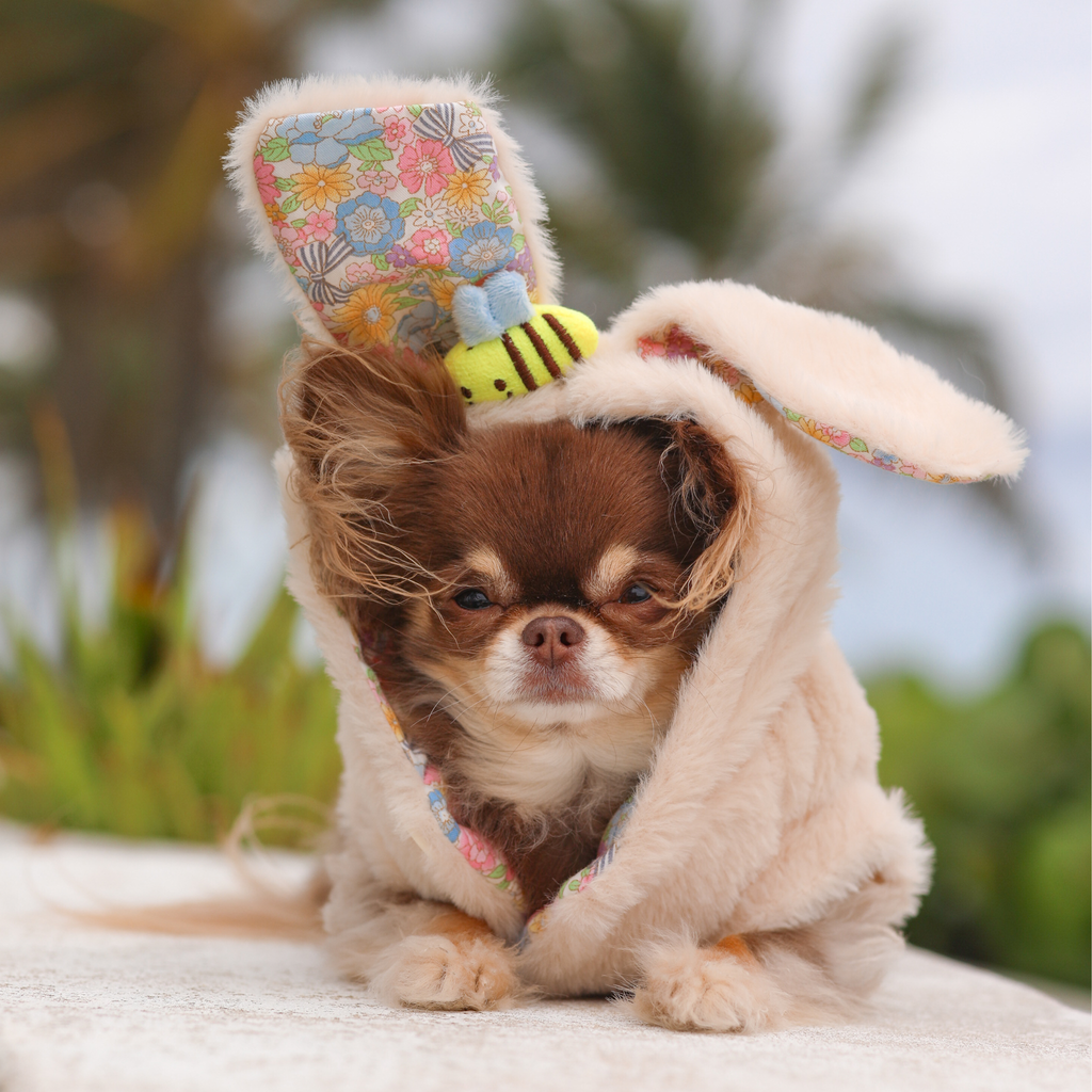 Veste lapin en peluche - Beige