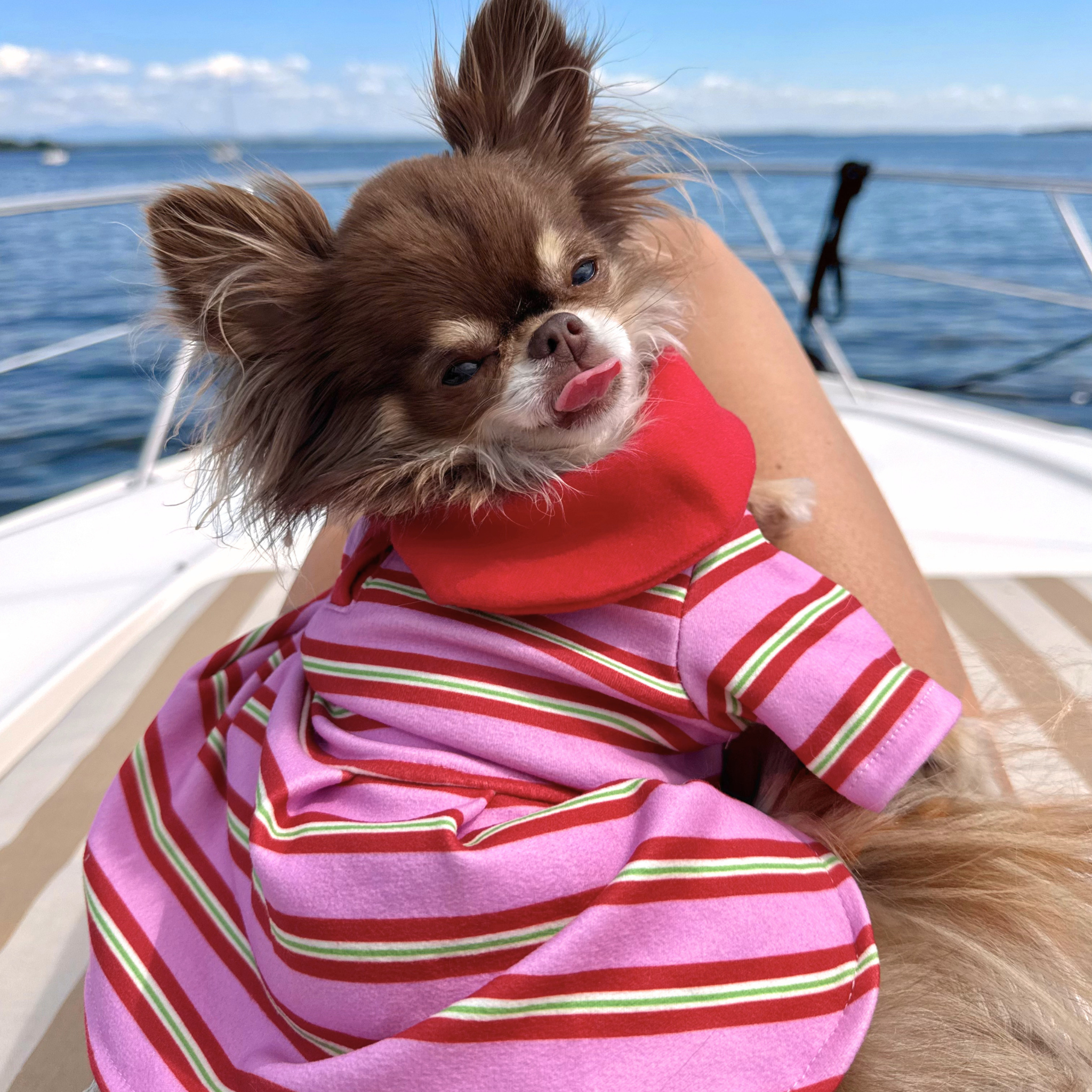 Striped Polo Dress - Pink & Red