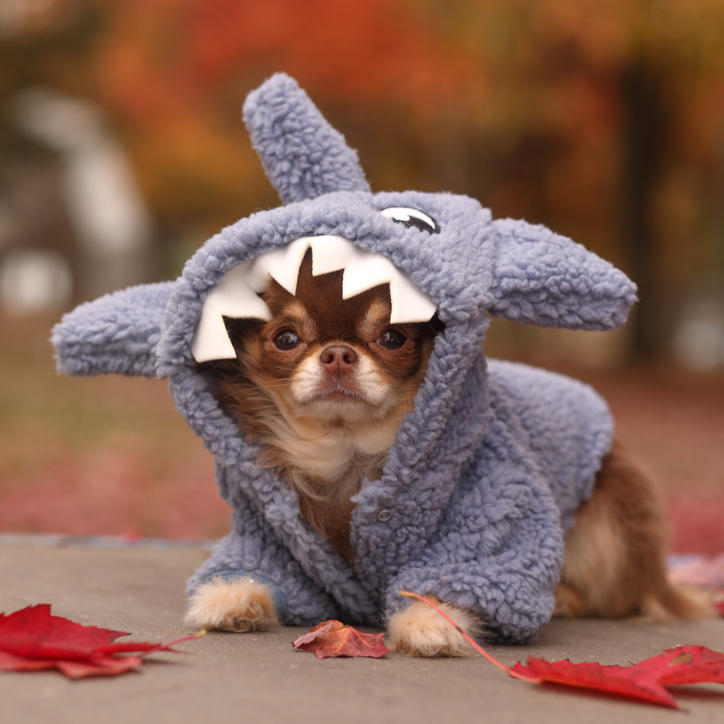 Hoodie requin duveteux