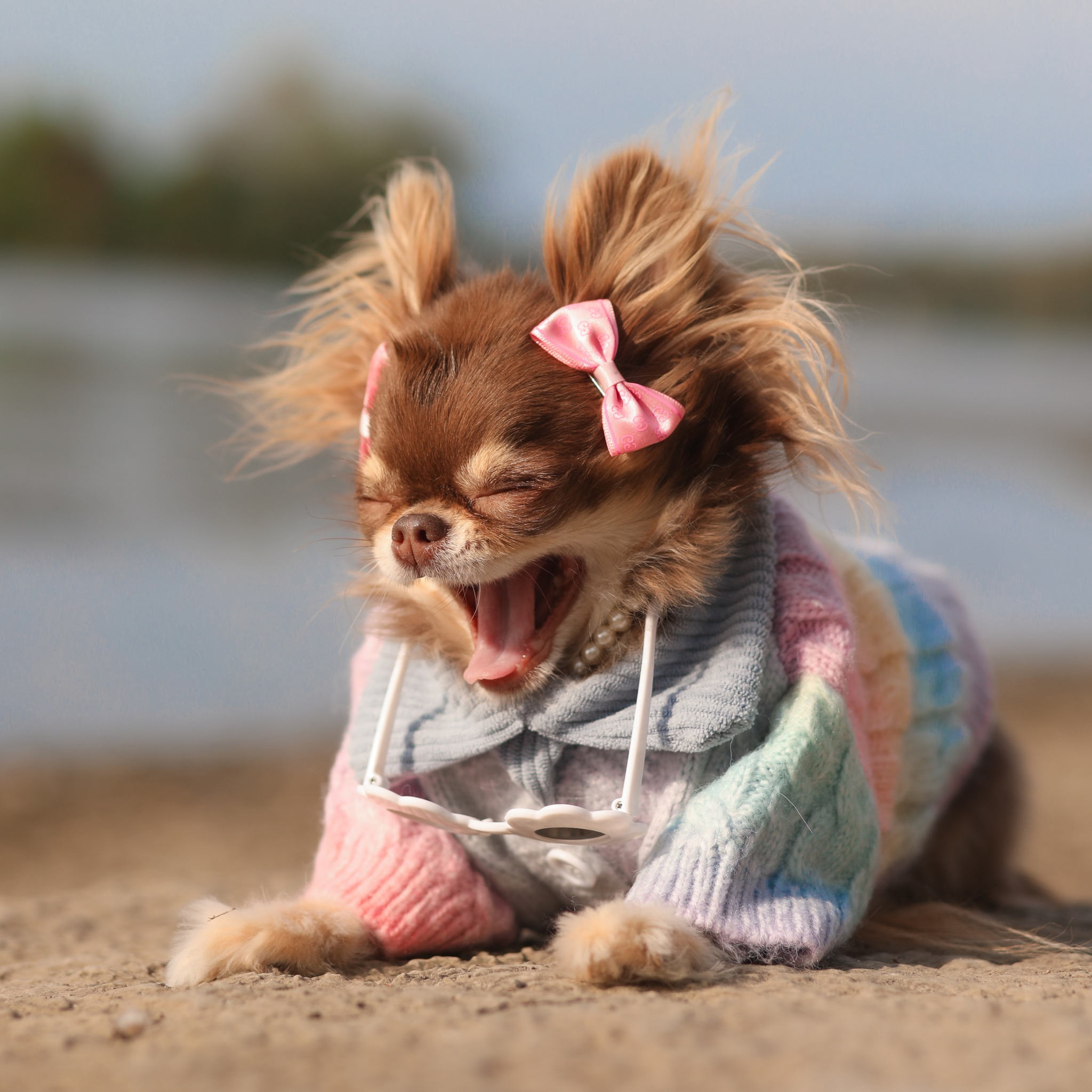 Multi Colored Knit Cardigan