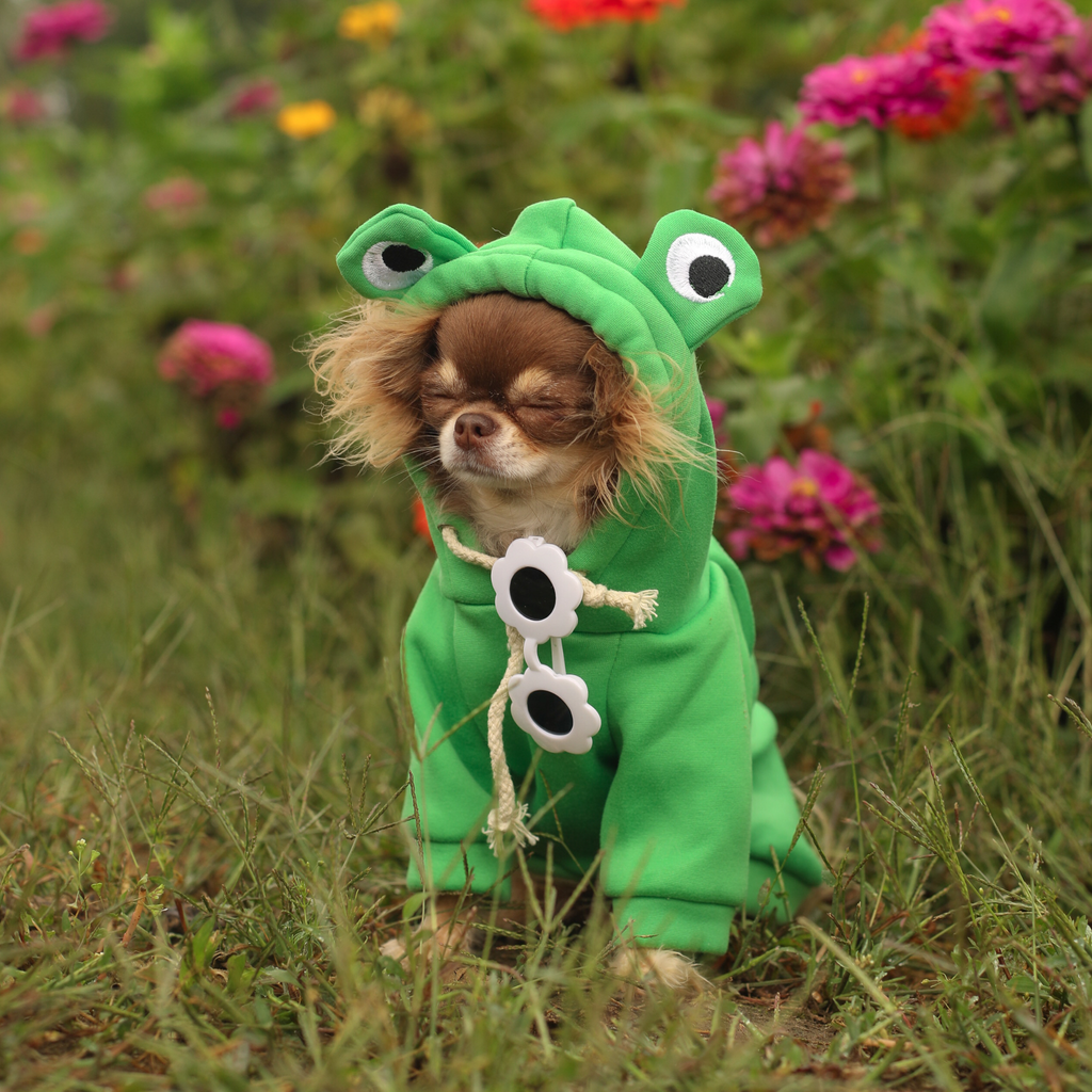 Hoodie grenouille