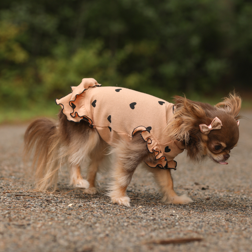 Lovable Ruffles Dress