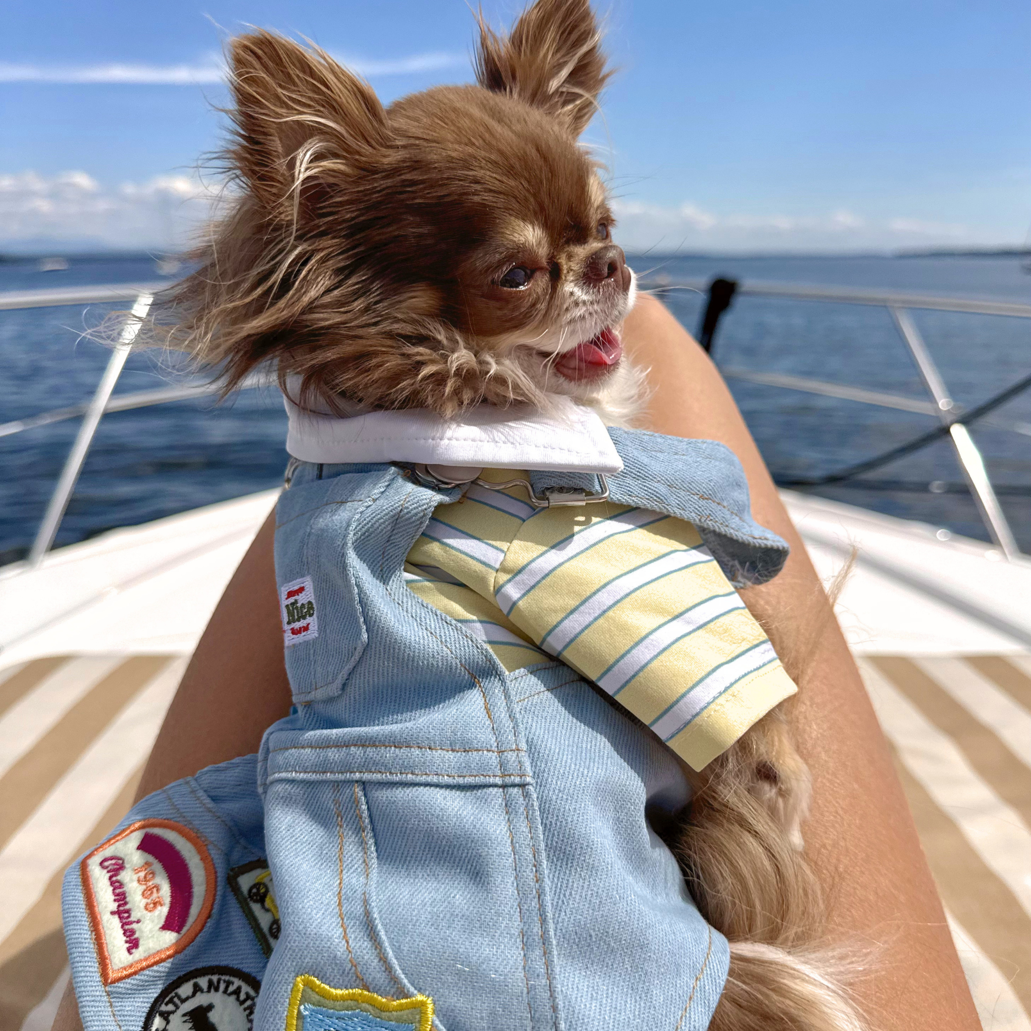Denim Patch Overalls