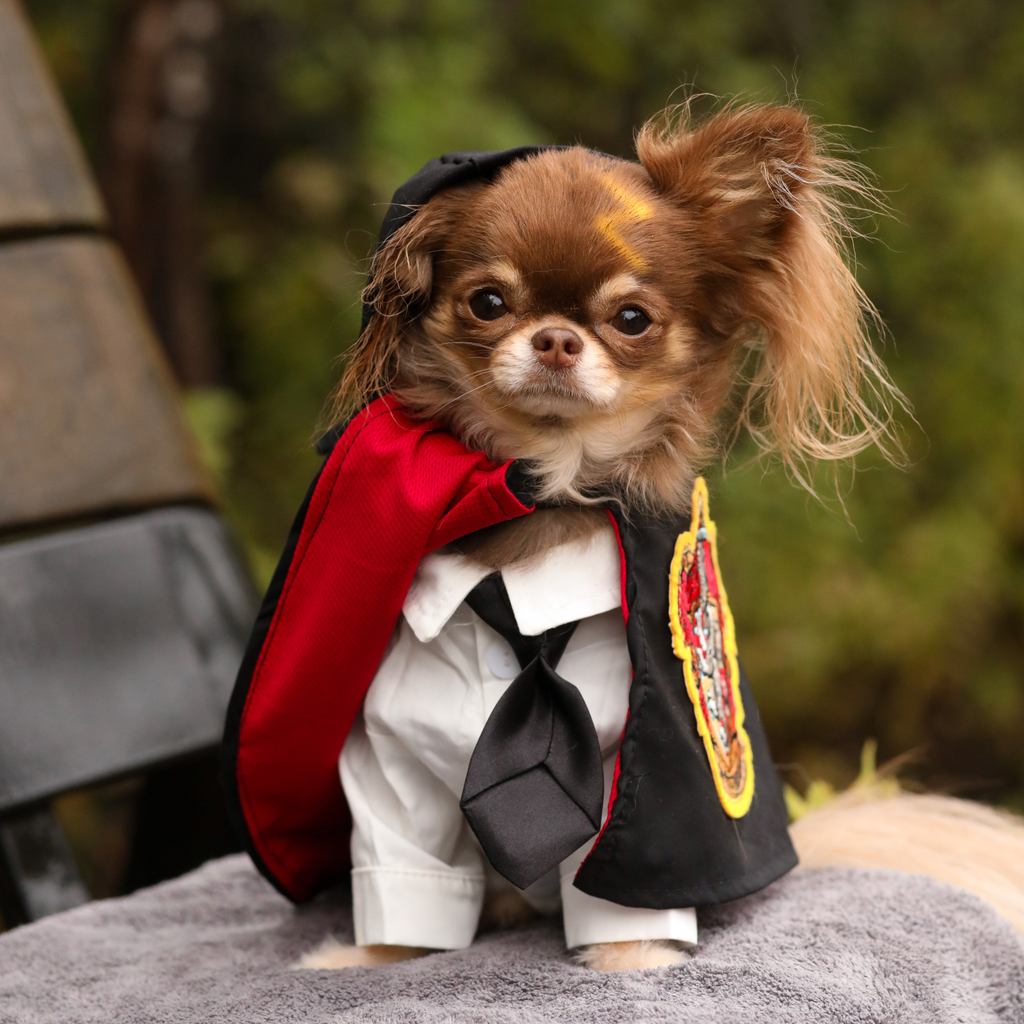Harry Pawtter Gryffindog Cape