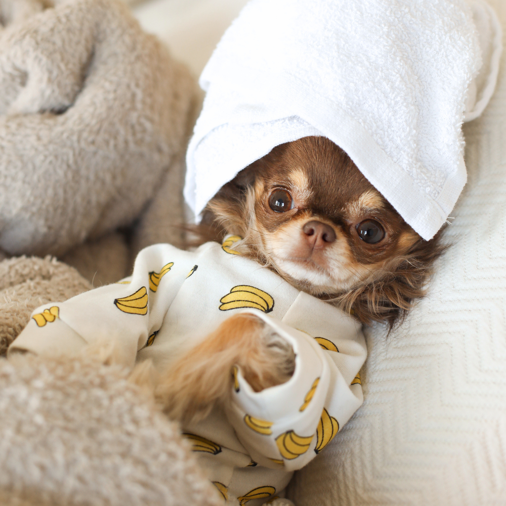 Banana Pyjamas (Onesie)