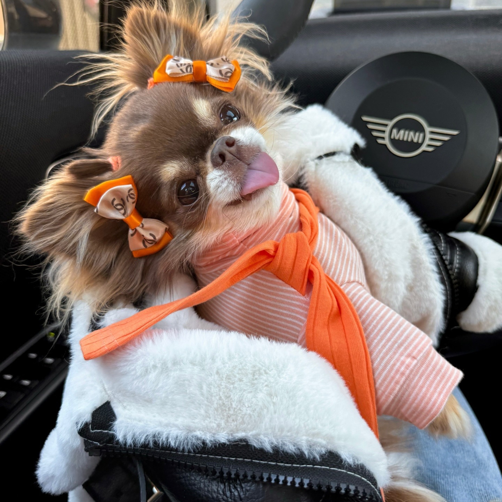 Striped Tee with Scarf - Orange