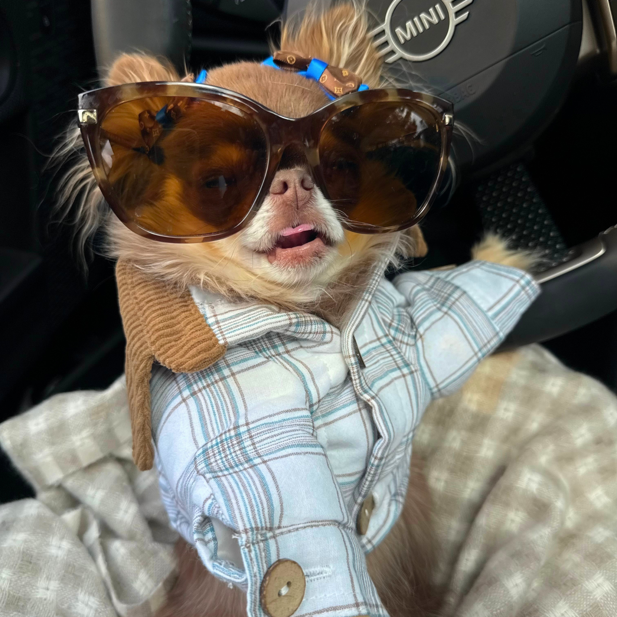 Plaid Button-Up Trench Coat - White