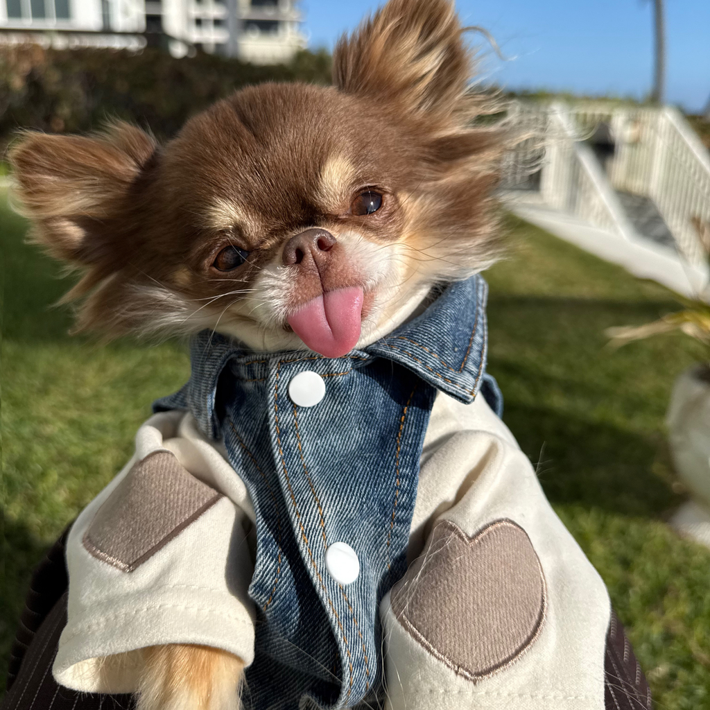Veste en jean