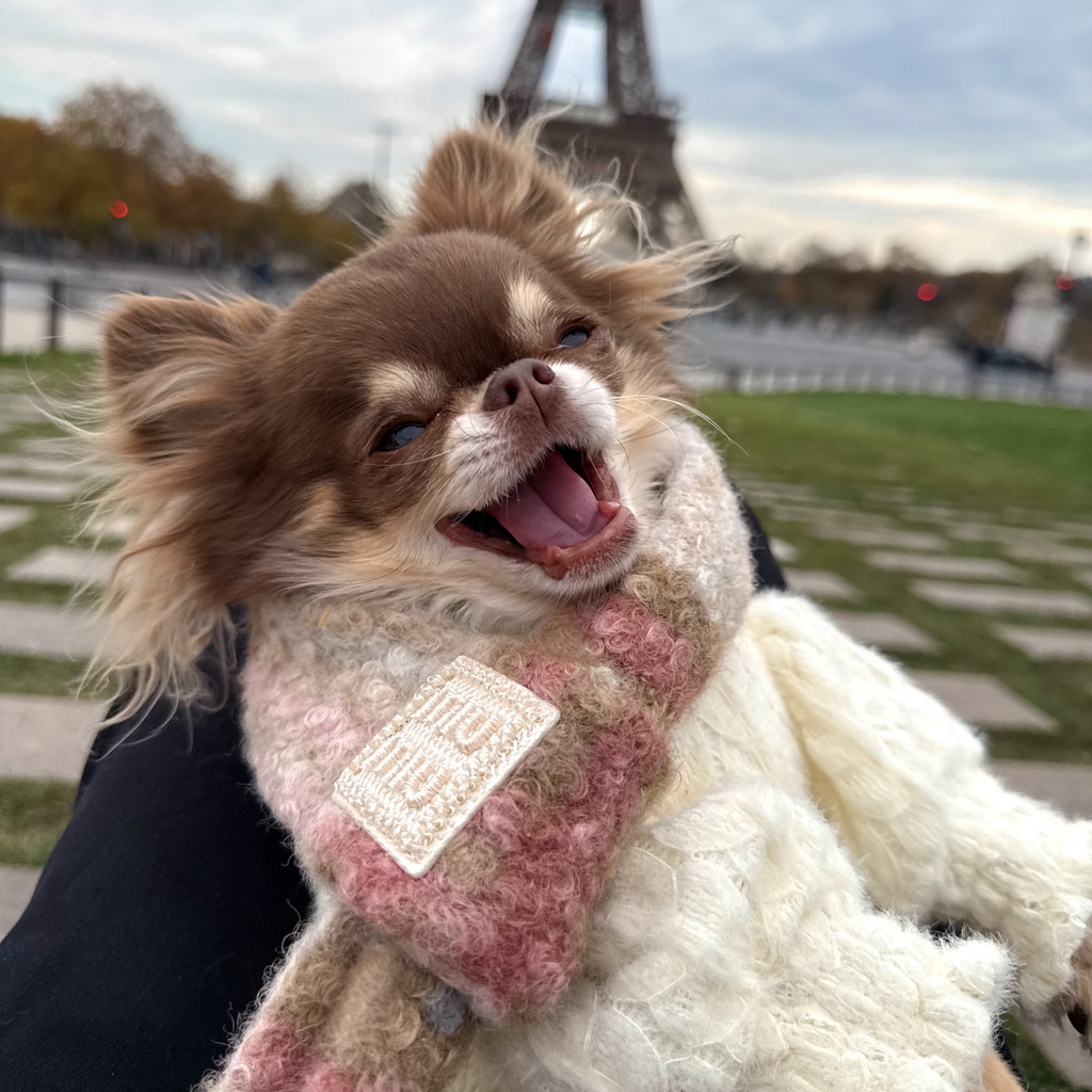 Pull en maille et dentelle crème
