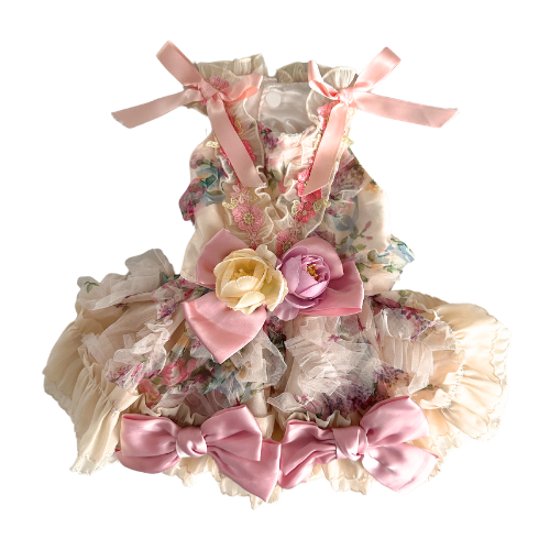 Robe rose élégante