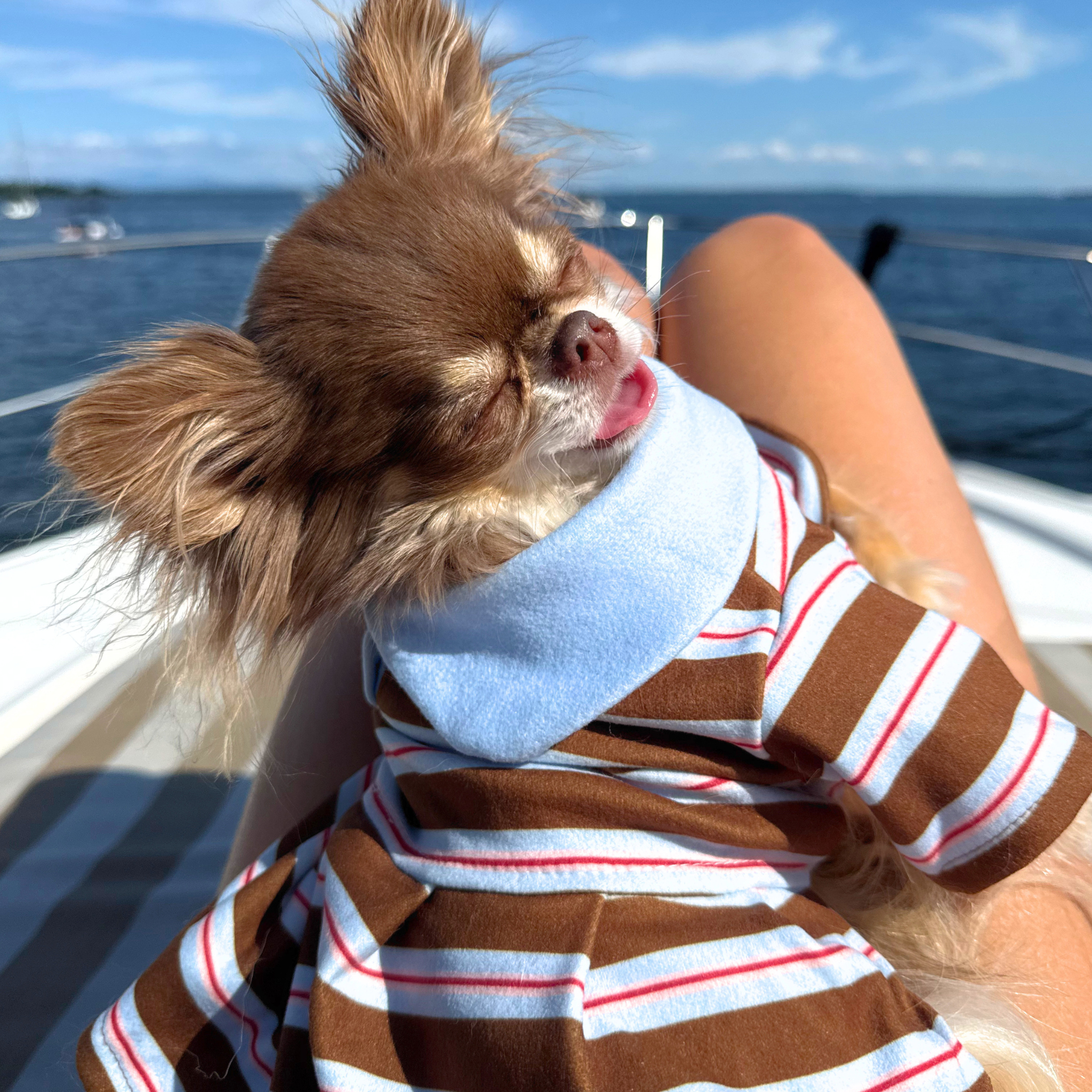 Striped Polo Dress - Chocolate