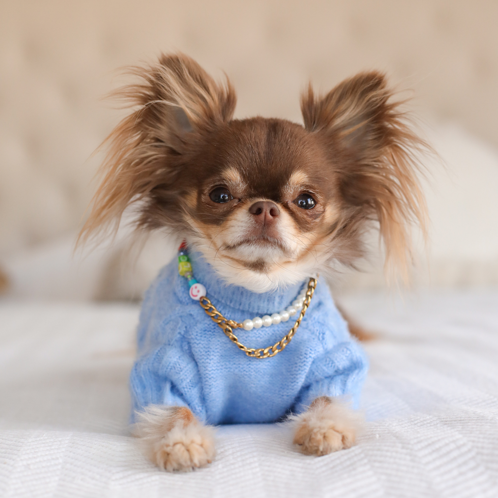 Blue Soft Knit Shirt