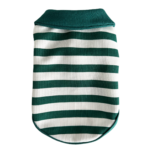 Striped Polo - Green