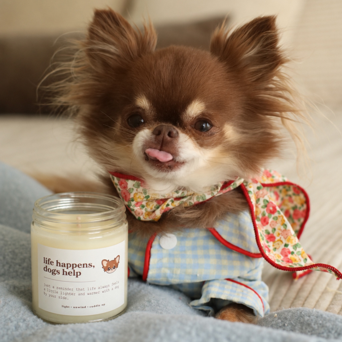Bougie parfumée en cire de soja pour amoureux des chiens — « la vie arrive, les chiens aident » 9oz en pot