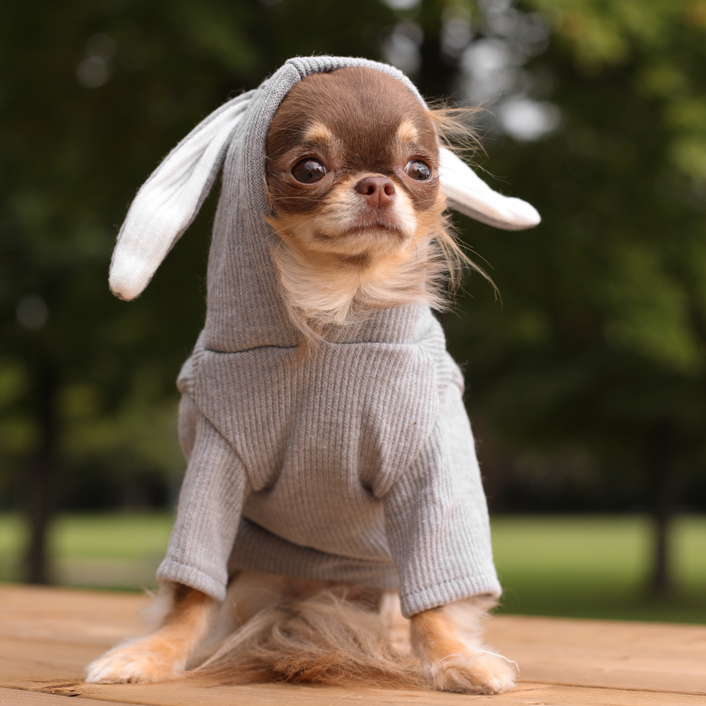 Hoodie Lapin