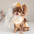 Birthday Set - Gold