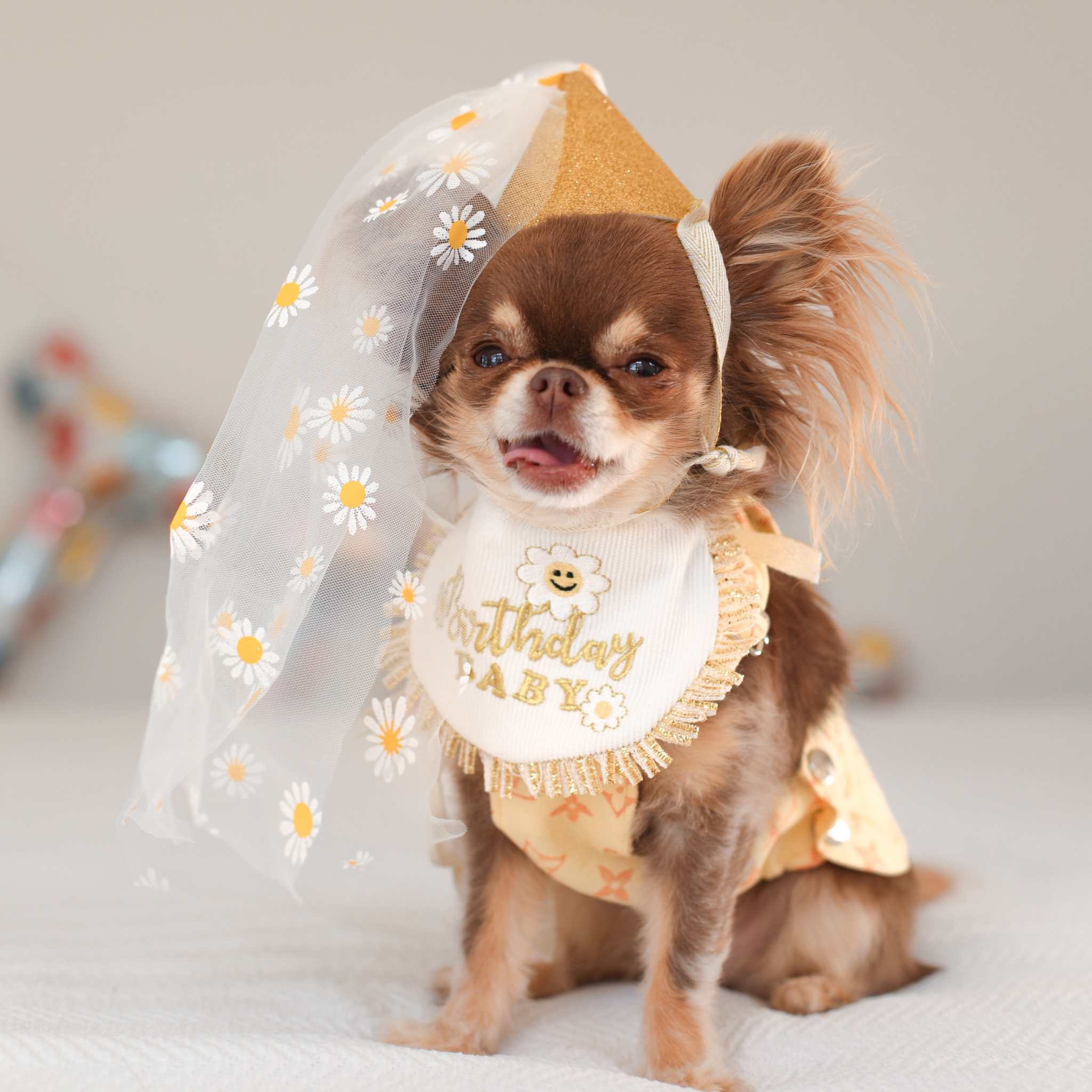 Birthday Set - Gold