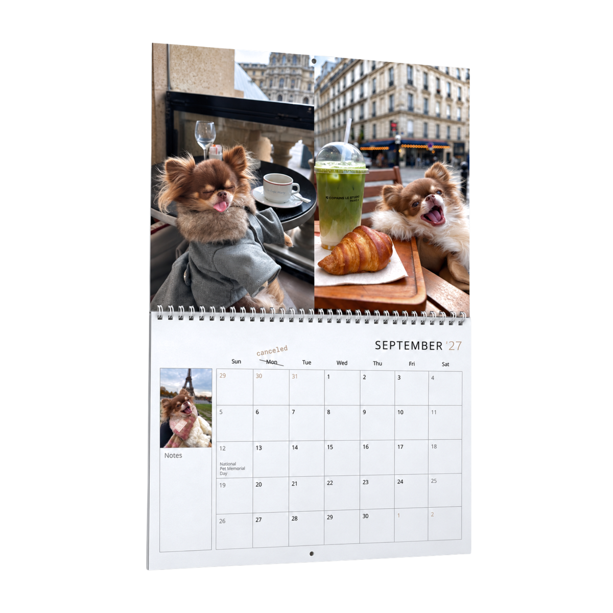 Lou the Chichi's 2027 Calendar (Pre-order)