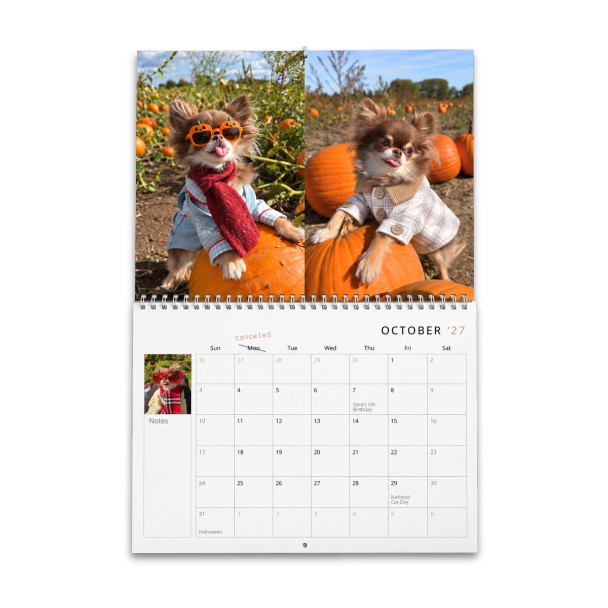 Lou the Chichi's 2027 Calendar