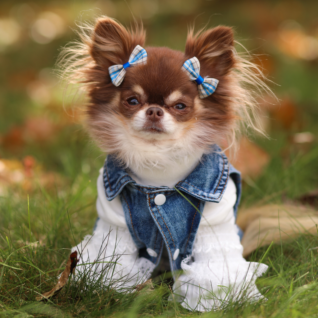 Veste en jean