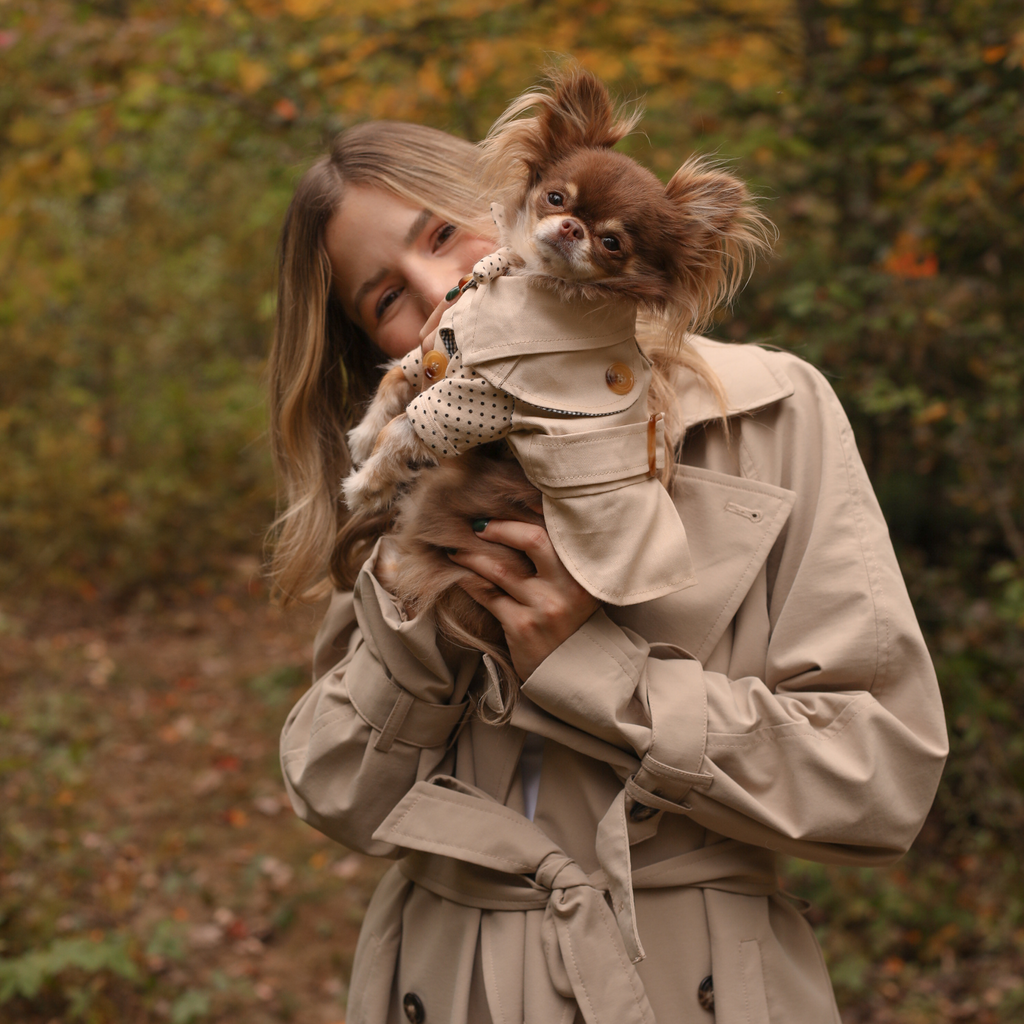 Beige Trench Coat