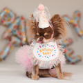Birthday Set - Pink