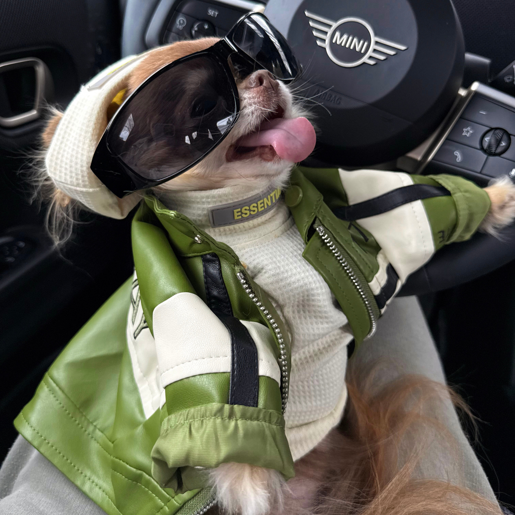 Veste racer en cuir