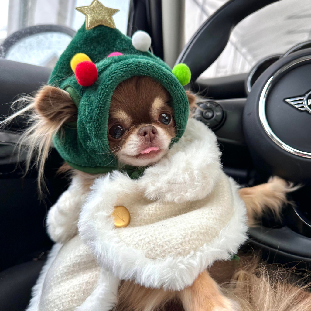 Bonnet sapin de Noël