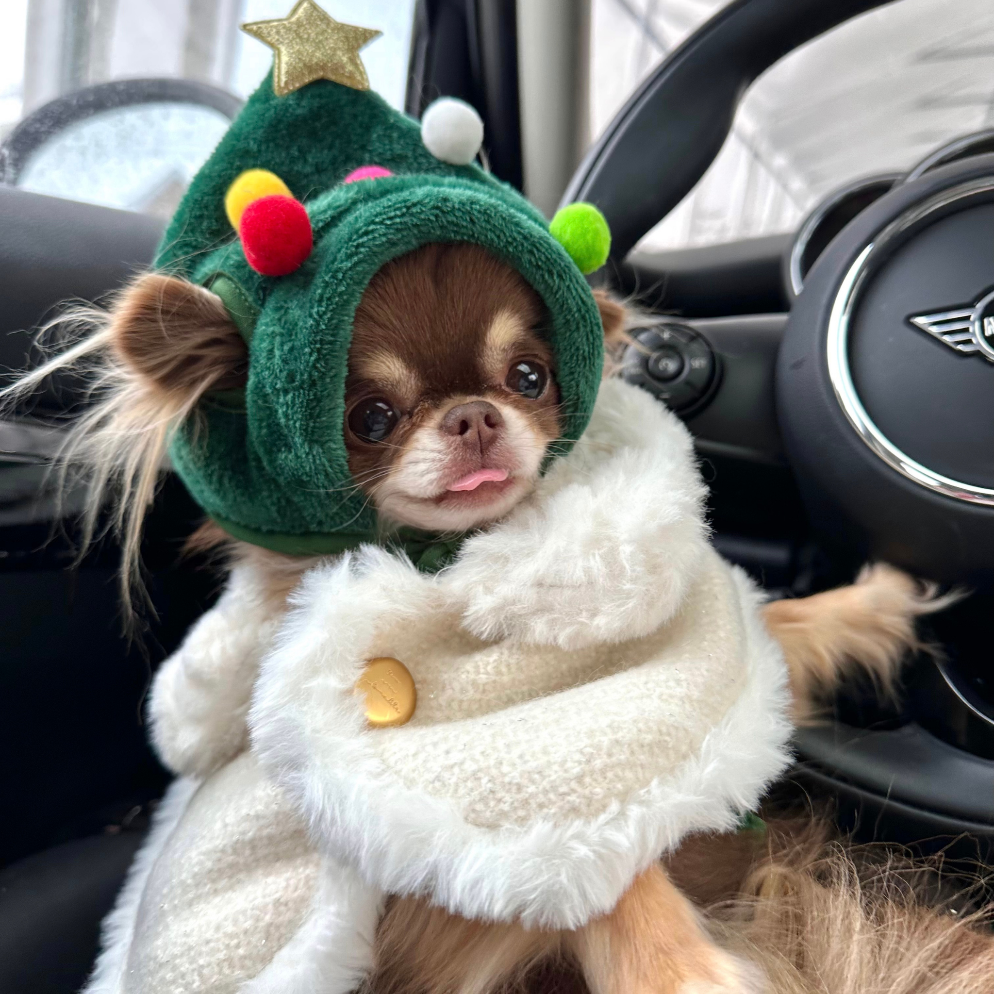 Bonnet sapin de Noël