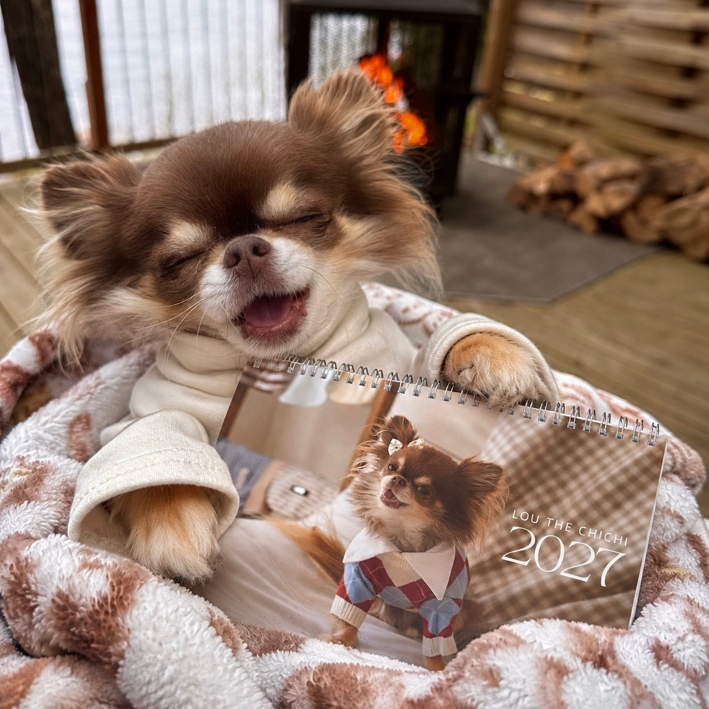 Lou the Chichi's 2027 Calendar