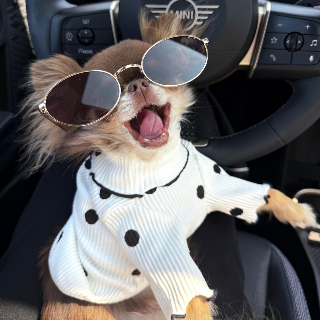 Polka Dot Turtleneck