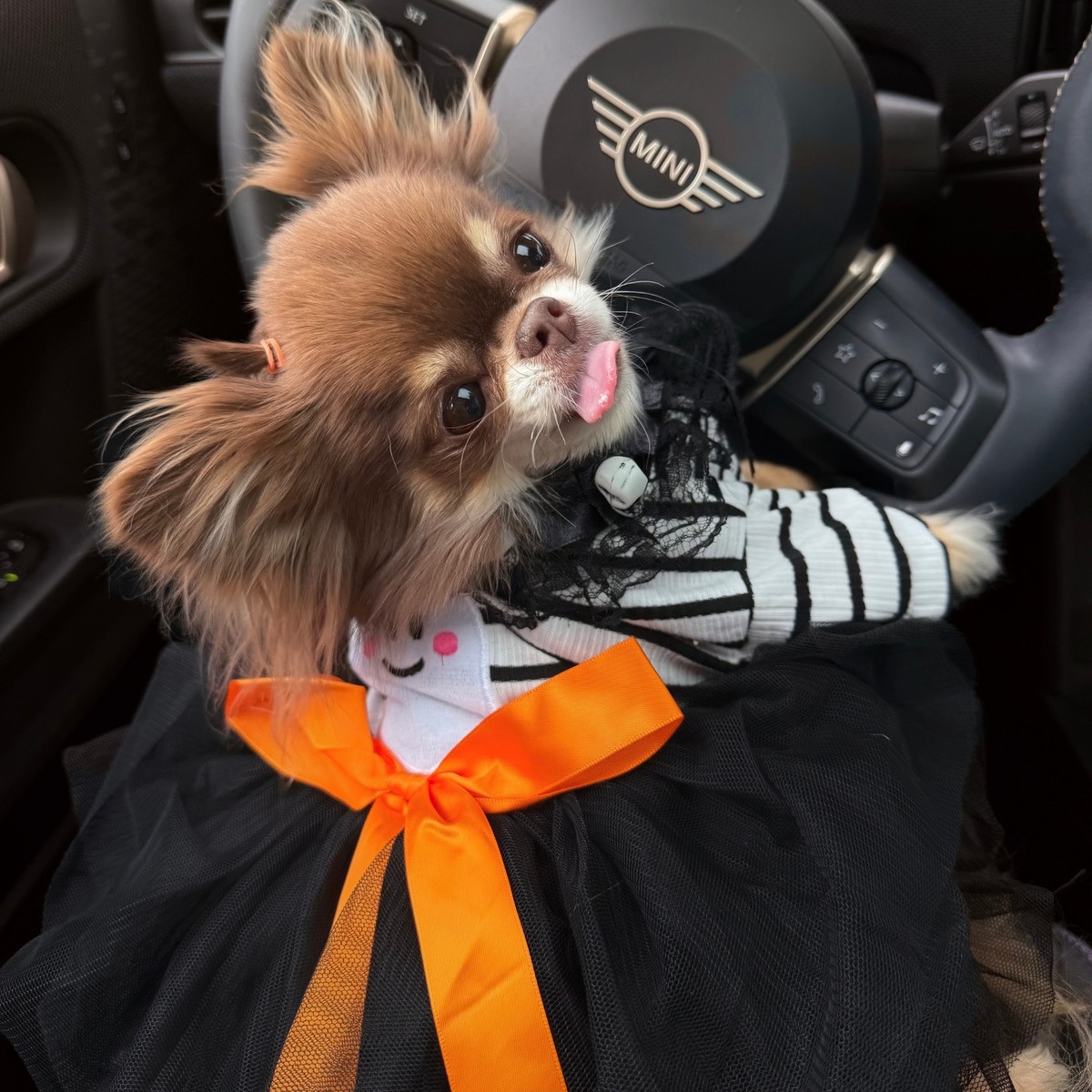 Spooky Stripes Tutu Dress